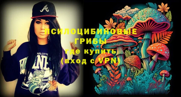 не бодяженный Абаза